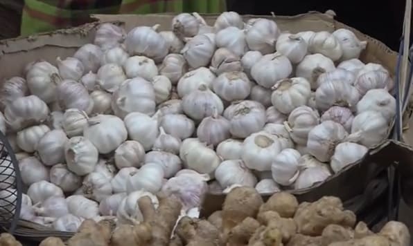 garlic-rosun (1)