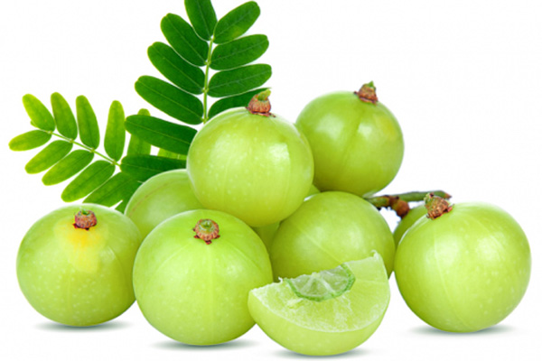 121333_bangladesh_pratidin_amla