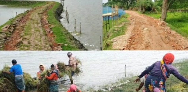 nazmul