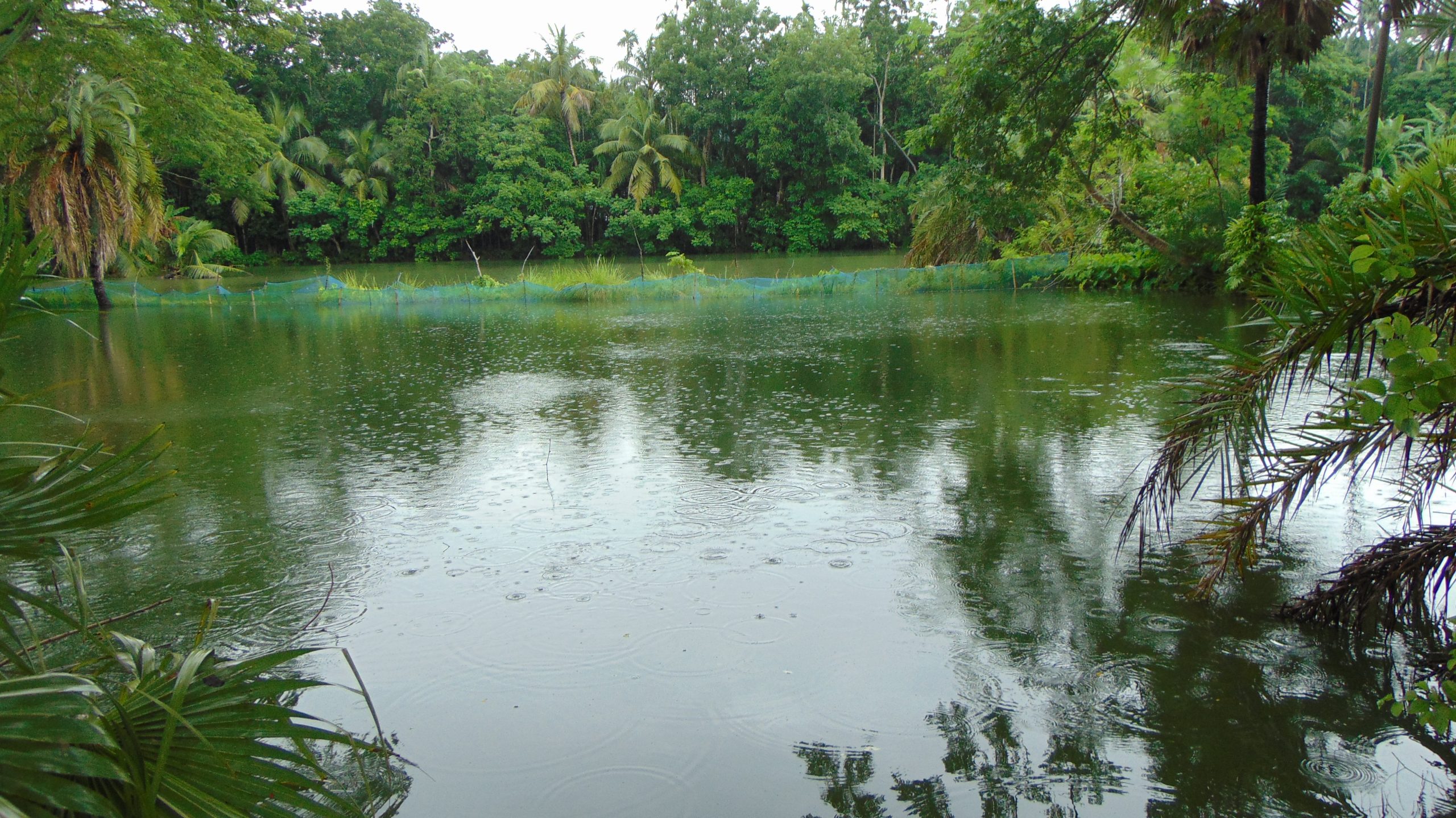 DSC03598