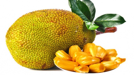 jackfruit