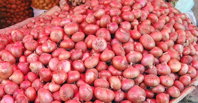 Satkhira Picture Onion--01