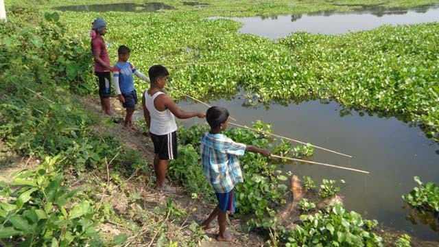 Benapole Photo --Children busy for fishing --17.10.20