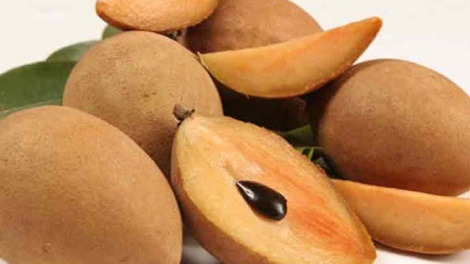 sfida