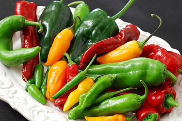 090611_bangladesh_pratidin_Green_pepper