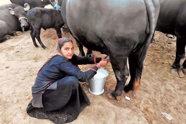 165537_bangladesh_pratidin_woman