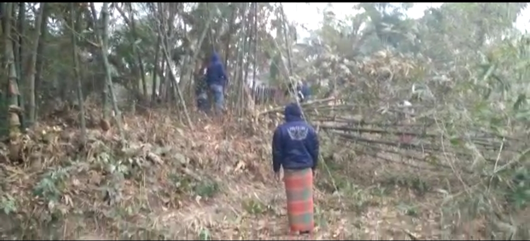 Jhenaidah photo 26-01-21 (2)