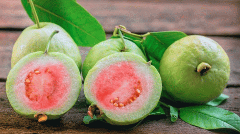 guava