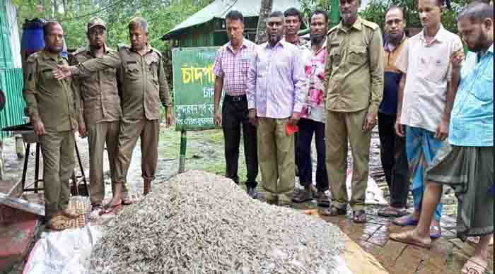 Sundarbon Chingri Pic