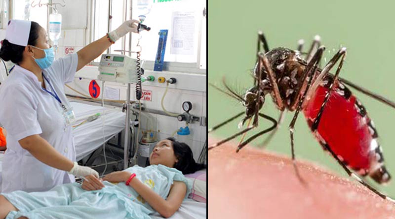 Dengue-Patient