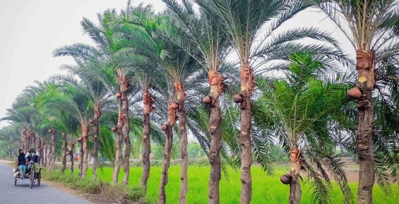 ইতিহাস-ঐতিহ্যে-খুলনা-বিভাগ-2