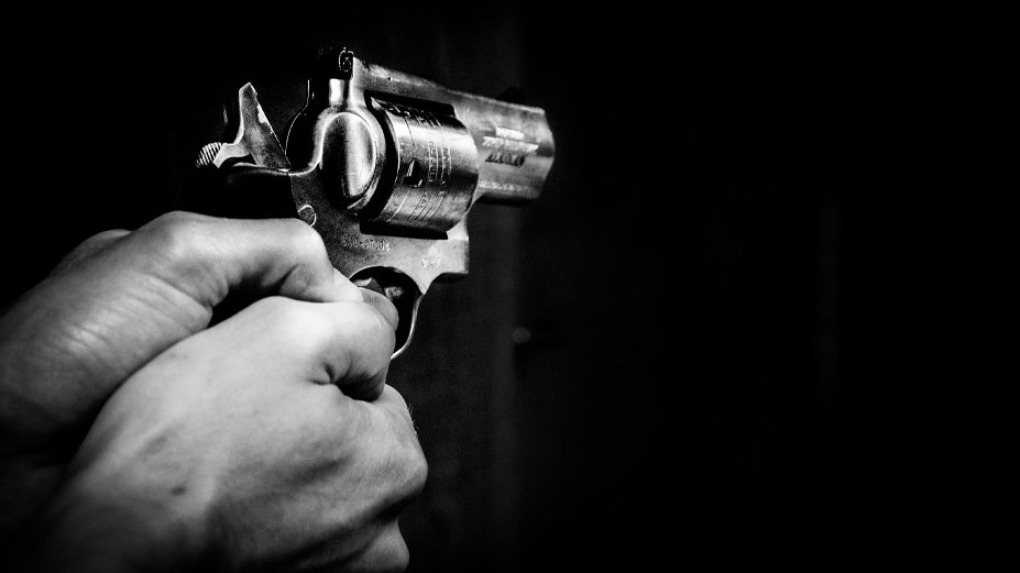 GUN-1