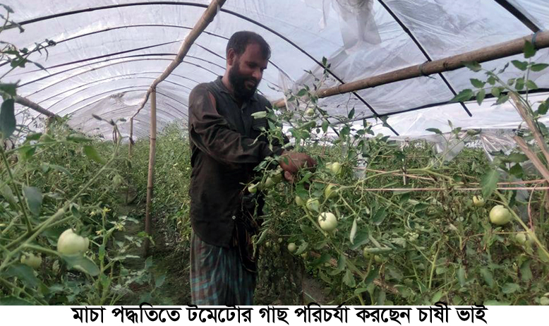 Picture. Tala(Satkhira) (1)