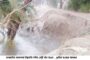 দেবহাটার ভাতশালা ইছামতি নদীর বেড়ী বাঁধ ভাঙনের শঙ্কা: প্লাবিত হতে পারে