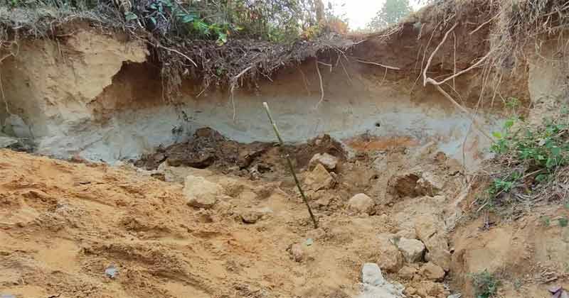 ppbd-news-purboposhchimbd-image-234273-1648294640