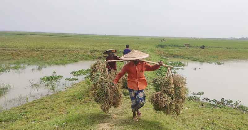 ppbd-news-purboposhchim-ima-image-1651402874