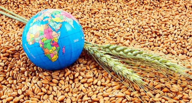 price-of-wheat-Ukraine-russia