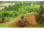 গোপালগঞ্জে ভ্যাকসিন কারখানা স্থাপনের কাজ চলছে পূর্ণোদ্যমে