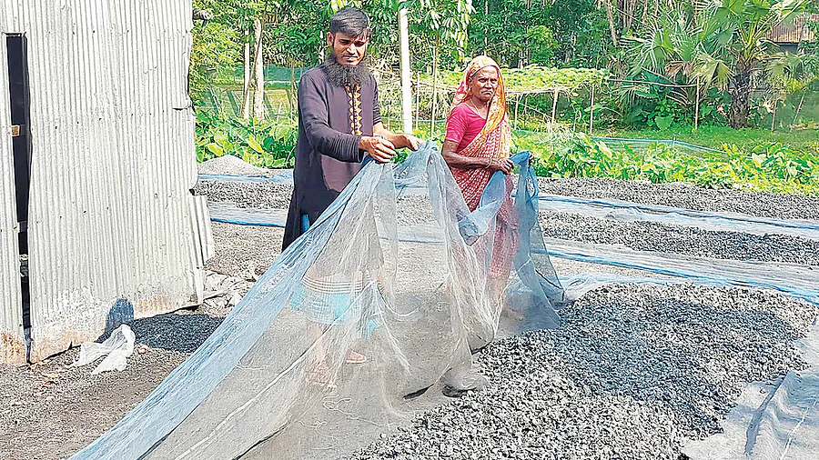 prothomalo-bangla_2022-11_31fd759b-d3f6-4885-9bd3-492a759b5696_KUSHTIA