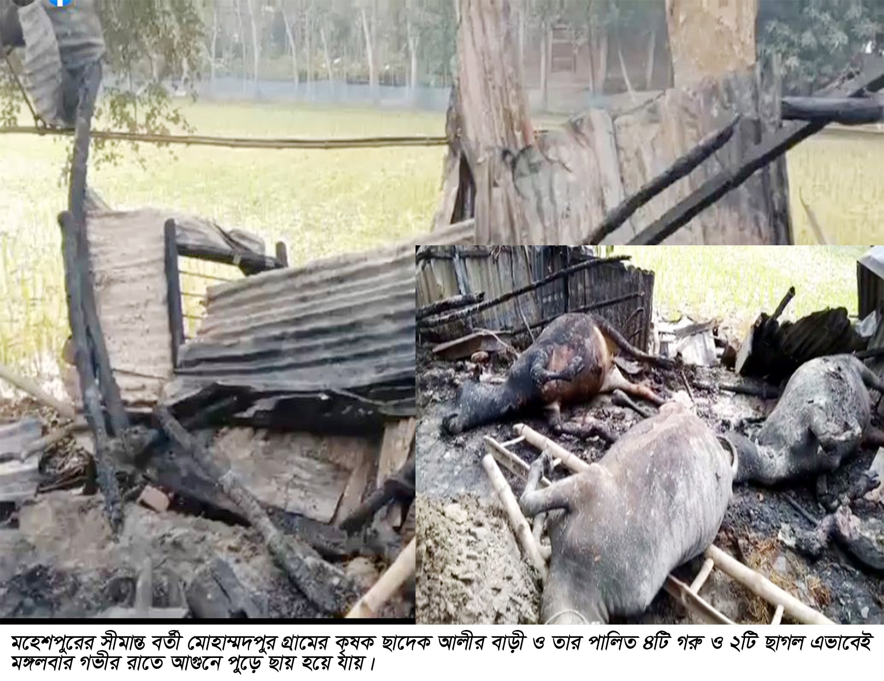 Moheshpur Picture 1--2--2023