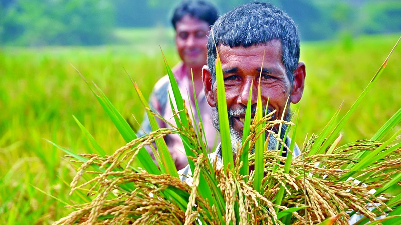 farmer-db-1676371778