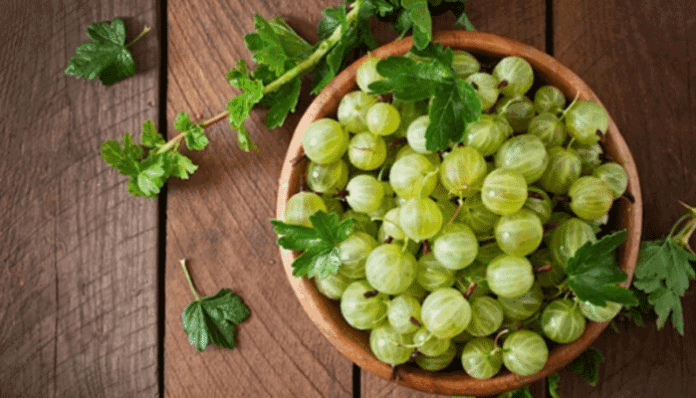 Amla-juice-samakal-648958b0283ef