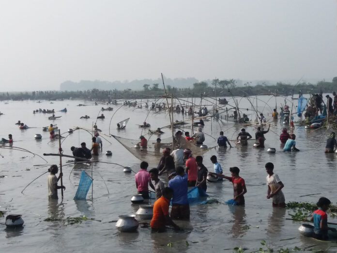 PABNA PHOTO (6) BAUT POLO UTSHOB_1701788060