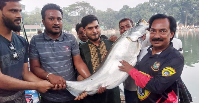 fish-5-20231201201854