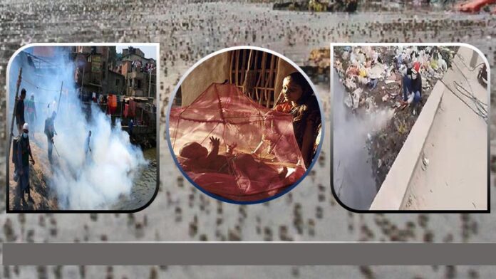 dengue-mosquito-db-1713357651