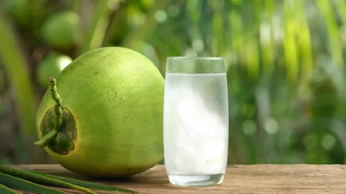 coconut-water-1726310494