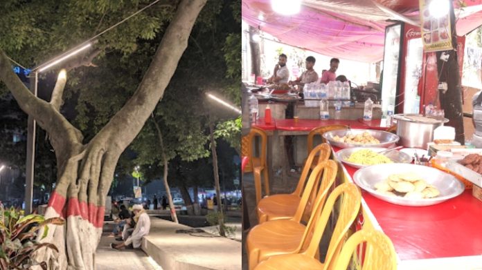 পার্ক-2410240953
