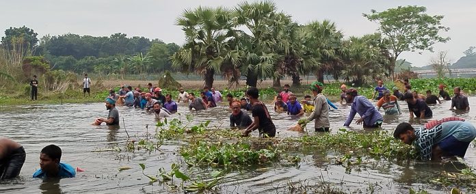 kaligonj fish (5)
