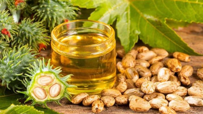 Castor-Oil-674684307eeff