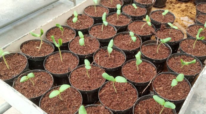 1682856678.photo_6230750790960658010_y