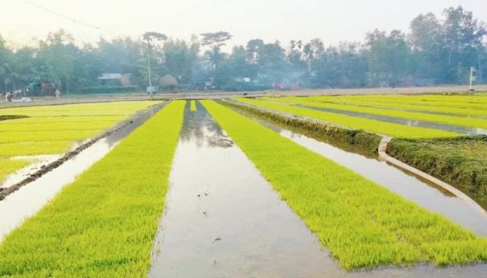 Sherpur-63d0d62b8805e