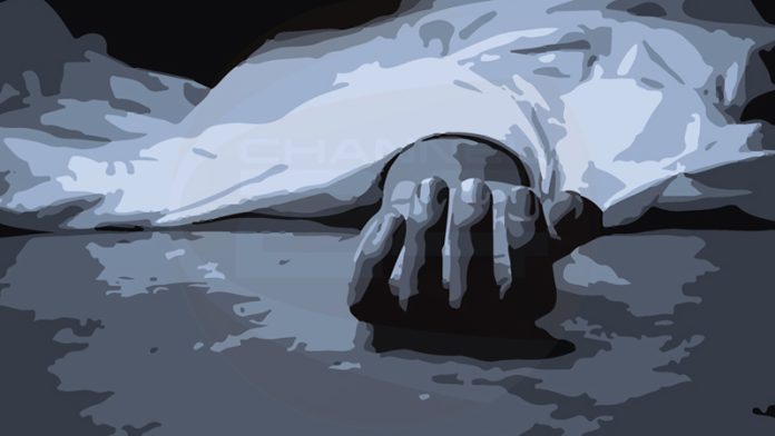 12454-1759837464
