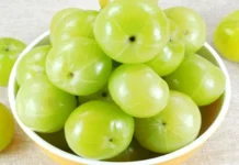 আমলকির স্বাস্থ্য উপকারিতা