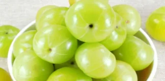 আমলকির স্বাস্থ্য উপকারিতা