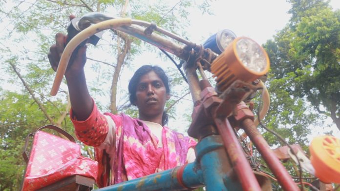 Sultana-6901be90b2f10