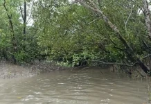 সুন্দরবনে জেলে অপহরণ, নতুন আতঙ্ক ‘নানা ভাই’