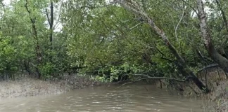 সুন্দরবনে জেলে অপহরণ, নতুন আতঙ্ক ‘নানা ভাই’