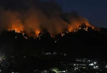 ৪ দিনেও নিয়ন্ত্রণে আসছে না জাপানের দাবানল, ২ হাজার একর বনভূমি ভস্মীভূত