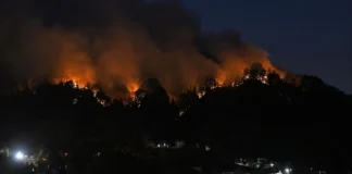 ৪ দিনেও নিয়ন্ত্রণে আসছে না জাপানের দাবানল, ২ হাজার একর বনভূমি ভস্মীভূত