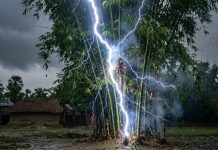 বাঁশ কাটতে গিয়ে বিদ্যুৎস্পৃষ্টে নেছারাবাদে কিশোরের মৃত্যু