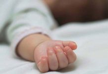 গোপালগঞ্জে বাস-ইজিবাইক সংঘর্ষে শিশু নিহত, আহত ৫