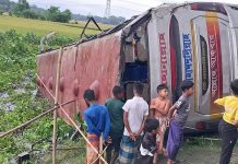 গোপালগঞ্জে বাস খাদে পড়ে আহত ২০