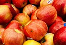 লিভার সুস্থ রাখার টনিক খালি পেটে রোজ দুটি আপেল, বলছেন বিশেষজ্ঞরা