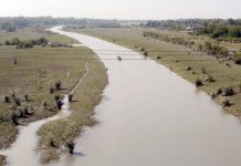 অস্তিত সংকটে খুলনার খরস্রোতা শোলমারী, ক্ষতিগ্রস্ত কৃষি-মৎস্য