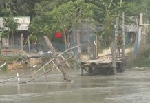 ব্রিজের ওপর বাঁশের সাঁকো, তারপরও হলো না শেষ রক্ষা!