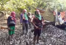 সুন্দরবনে দস্যুতায় ফিরছেন আত্মসমর্পণকারীরা, নেপথ্যে দুই কারণ